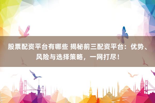 股票配资平台有哪些 揭秘前三配资平台：优势、风险与选择策略，一网打尽！
