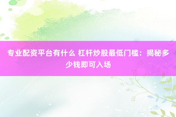 专业配资平台有什么 杠杆炒股最低门槛：揭秘多少钱即可入场