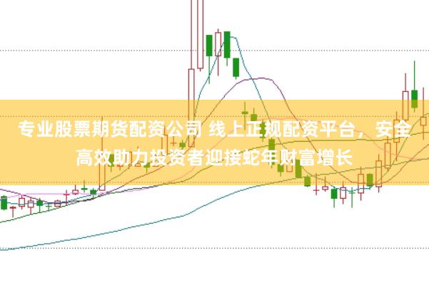 专业股票期货配资公司 线上正规配资平台，安全高效助力投资者迎接蛇年财富增长