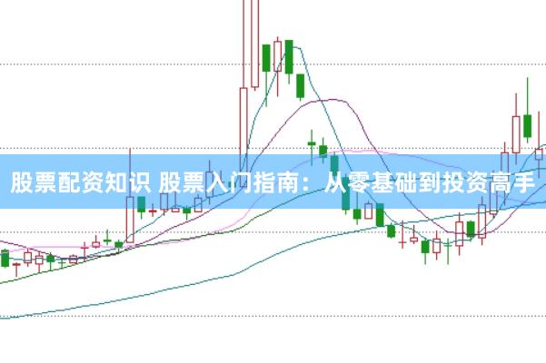 股票配资知识 股票入门指南：从零基础到投资高手