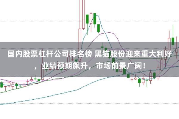 国内股票杠杆公司排名榜 黑猫股份迎来重大利好，业绩预期飙升，市场前景广阔！