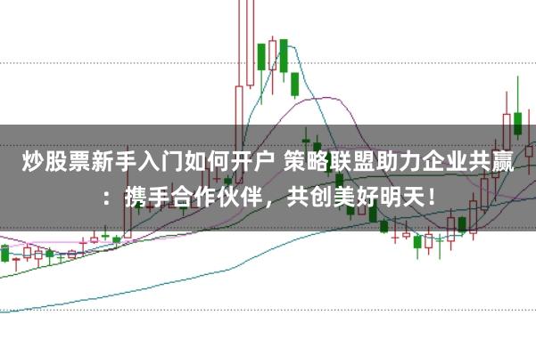 炒股票新手入门如何开户 策略联盟助力企业共赢：携手合作伙伴，共创美好明天！