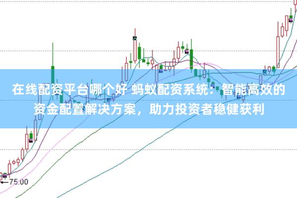 在线配资平台哪个好 蚂蚁配资系统：智能高效的资金配置解决方案，助力投资者稳健获利