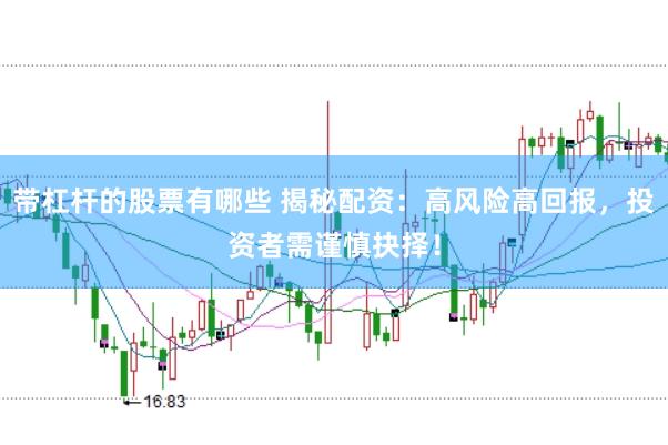 带杠杆的股票有哪些 揭秘配资：高风险高回报，投资者需谨慎抉择！