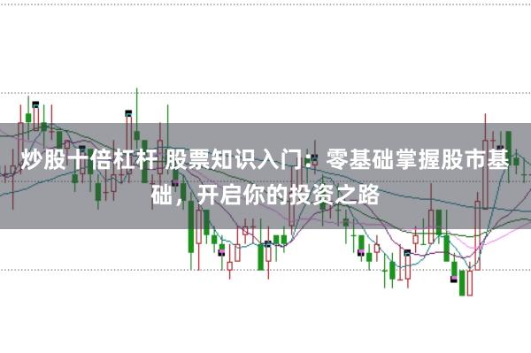 炒股十倍杠杆 股票知识入门：零基础掌握股市基础，开启你的投资之路