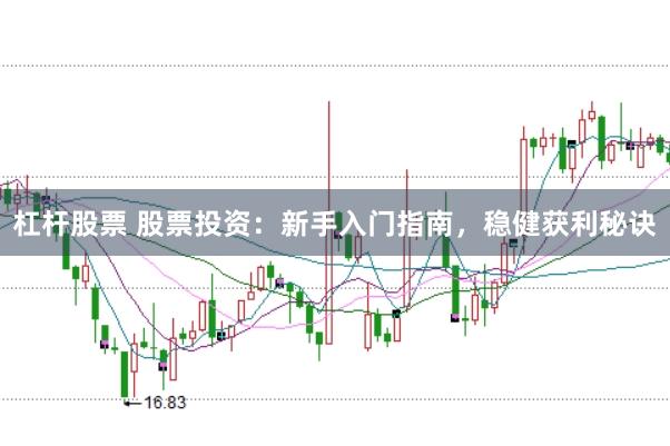 杠杆股票 股票投资：新手入门指南，稳健获利秘诀