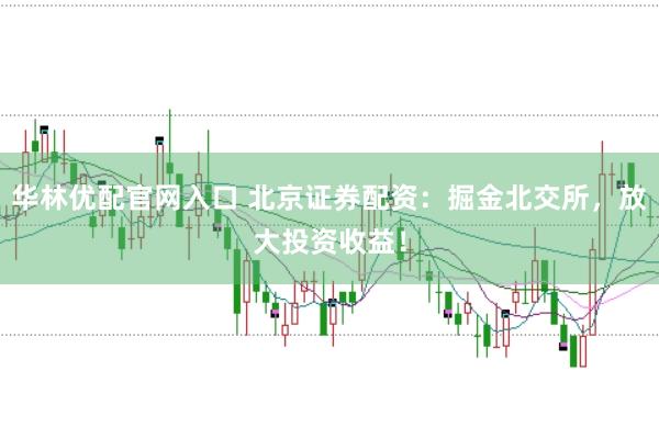 华林优配官网入口 北京证券配资：掘金北交所，放大投资收益！