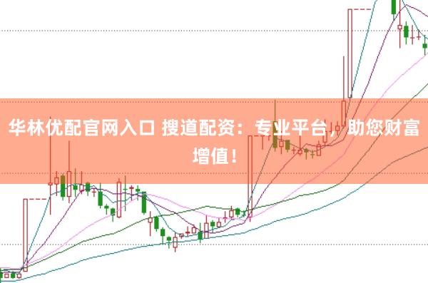 华林优配官网入口 搜道配资：专业平台，助您财富增值！