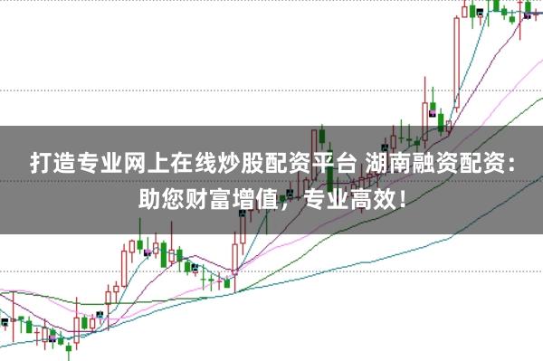 打造专业网上在线炒股配资平台 湖南融资配资：助您财富增值，专业高效！