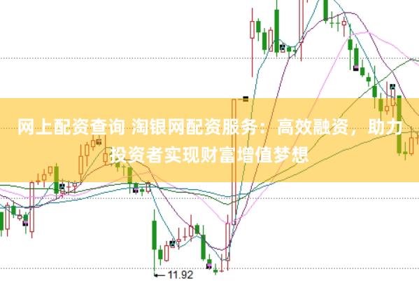 网上配资查询 淘银网配资服务：高效融资，助力投资者实现财富增值梦想