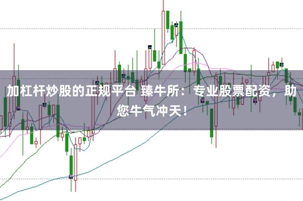 加杠杆炒股的正规平台 臻牛所：专业股票配资，助您牛气冲天！