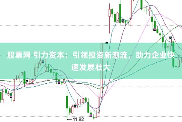 股票网 引力资本：引领投资新潮流，助力企业快速发展壮大