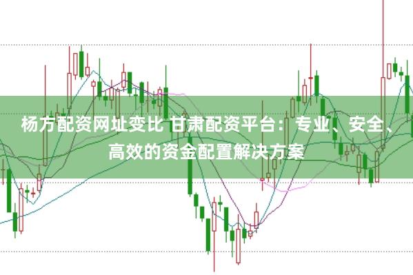 杨方配资网址变比 甘肃配资平台：专业、安全、高效的资金配置解决方案