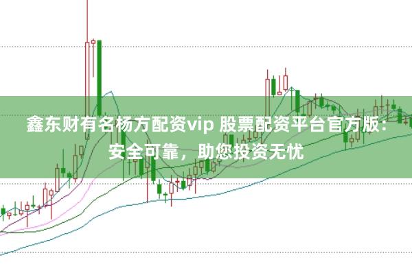 鑫东财有名杨方配资vip 股票配资平台官方版：安全可靠，助您投资无忧